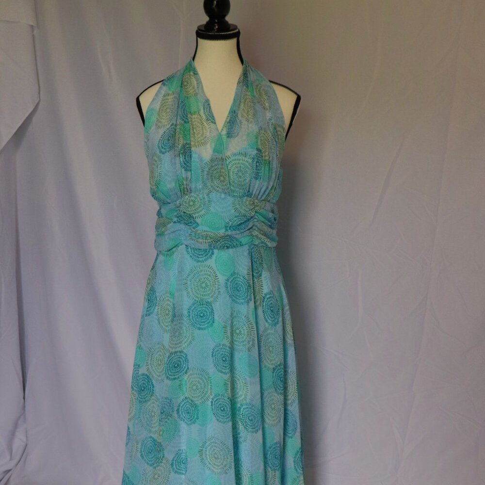 Beautiful Sheer Dress Size 12P